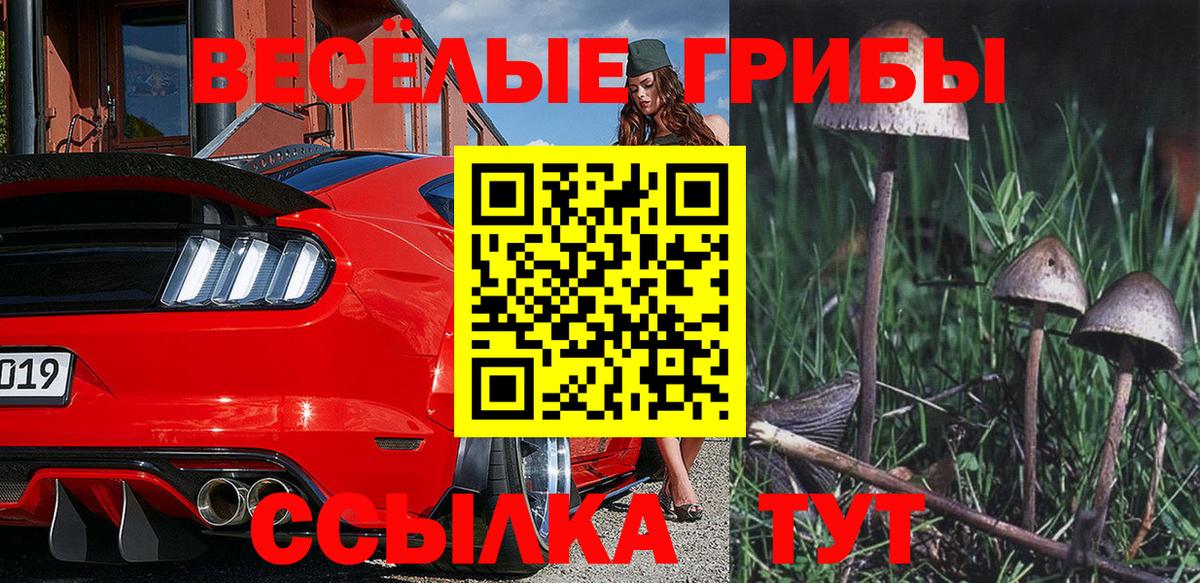 Псилоцибиновые грибы MAGIC MUSHROOMS Самара