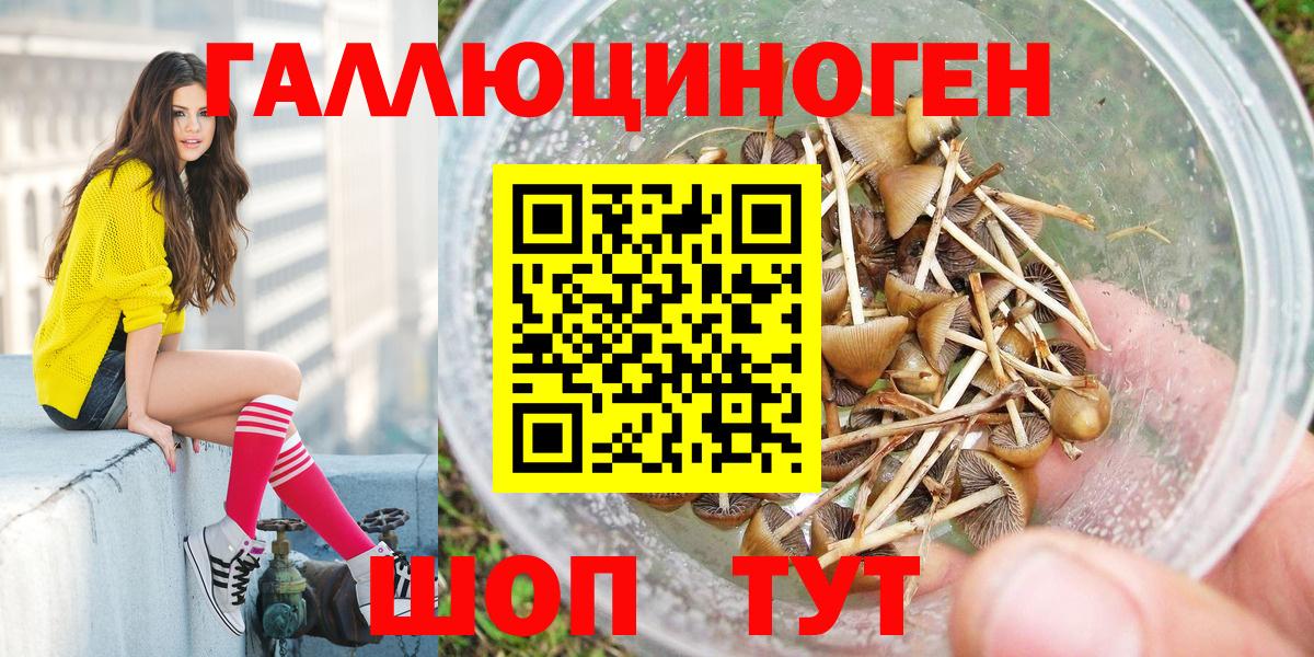 Псилоцибиновые грибы прущие грибы  Галлюциногенные грибы мухоморы  Самара  Вход с VPN 